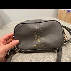 Disney Pandora bag.